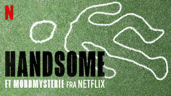 Handsome – et mordmysterie fra Netflix (2017)